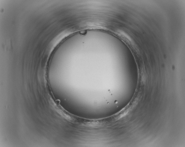 X0000062141182200512091207