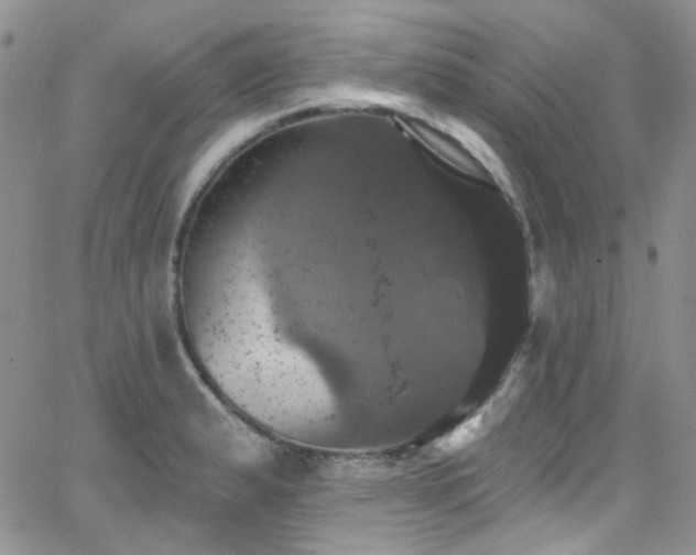 X0000062141183200512091207