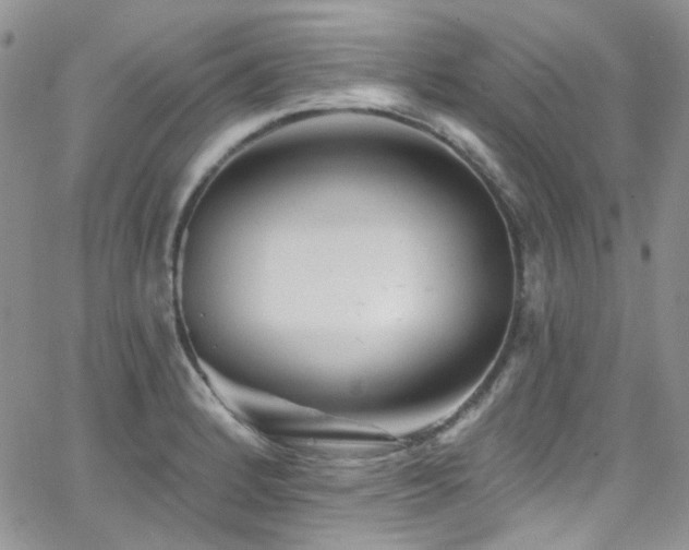 X0000062141184200512091207