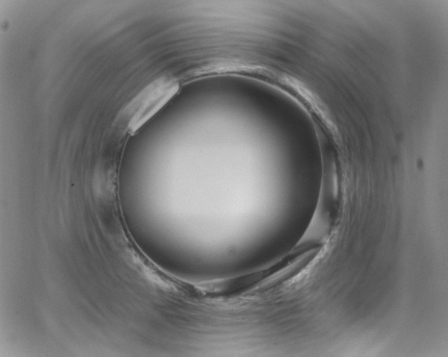 X0000062141185200512091207