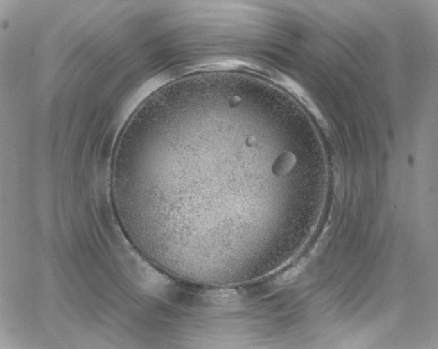 X0000062141186200512091207