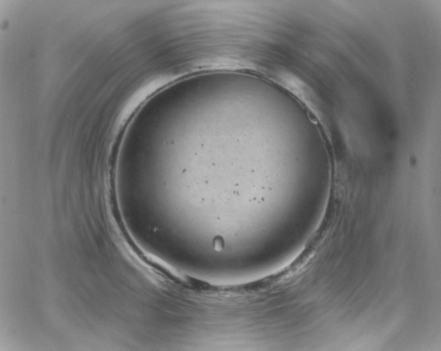 X0000062141187200512091207