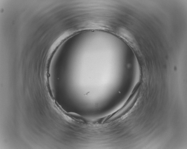 X0000062141188200512091207