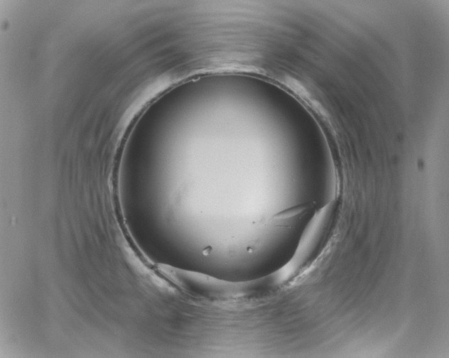 X0000062141189200512091207