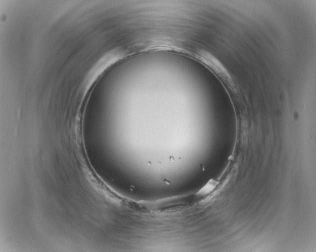 X0000062141190200512091207