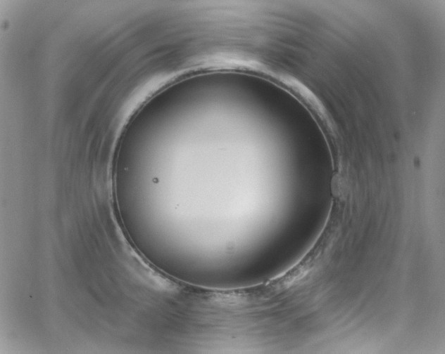 X0000062141191200512091207