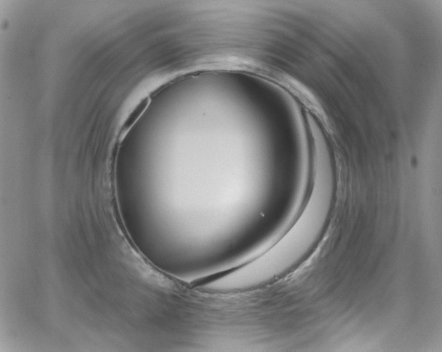 X0000062141192200512091207