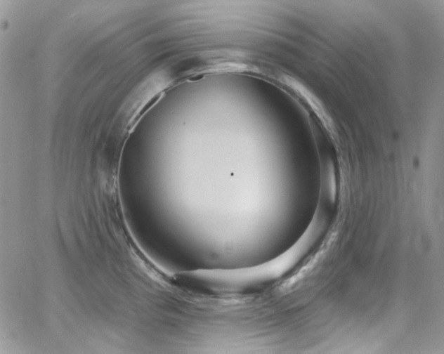 X0000062141193200512091207