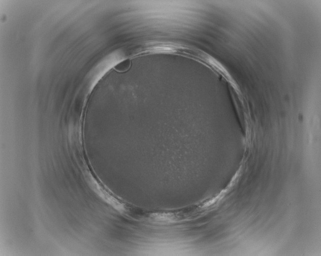 X0000062141194200512091207