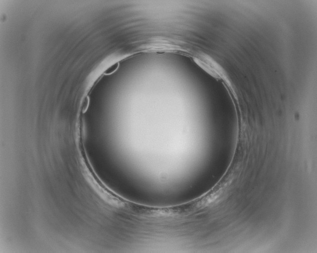 X0000062141195200512091207