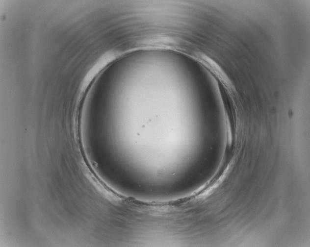 X0000062141196200512091207