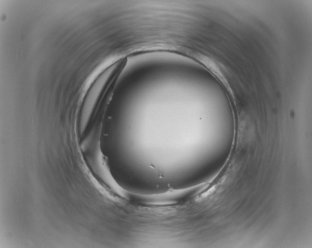 X0000062141197200512091207