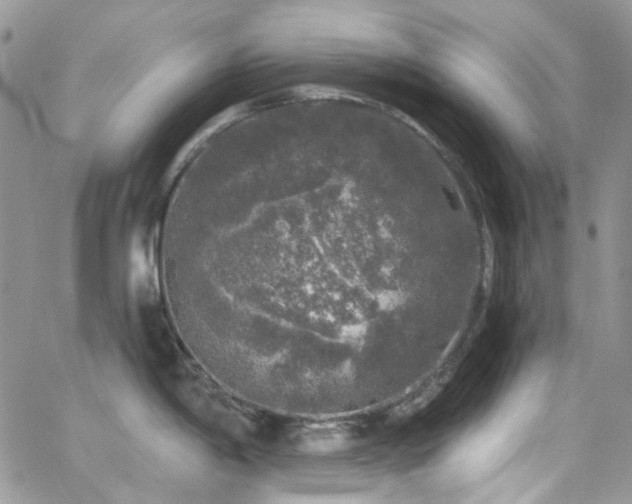 X0000062141198200512091207