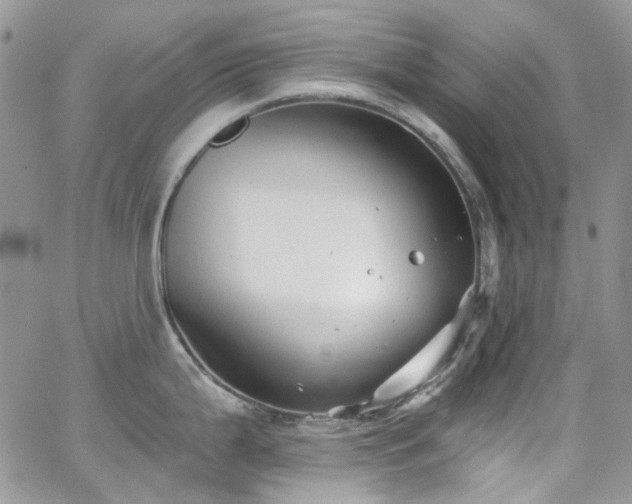 X0000062141199200512091207