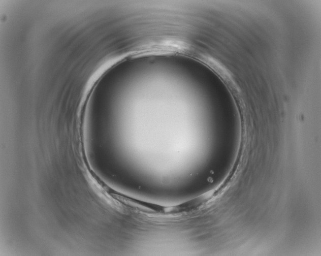 X0000062141200200512091207