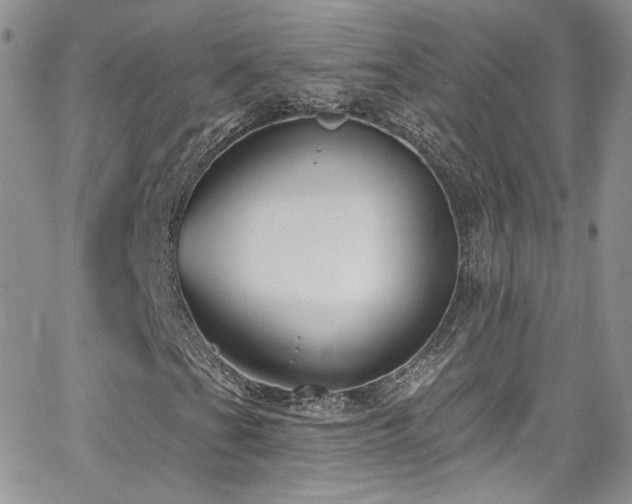 X0000062141201200512091206