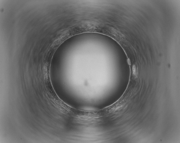 X0000062141203200512091206