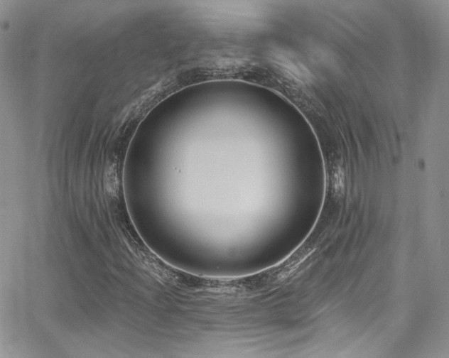 X0000062141204200512091206