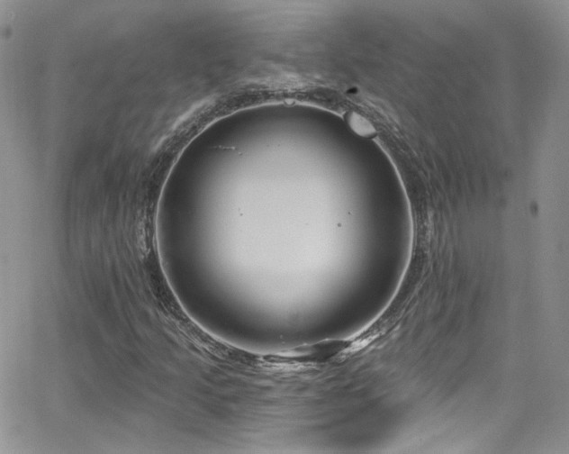 X0000062141205200512091206