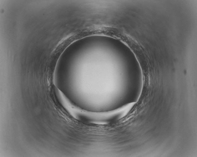 X0000062141206200512091206