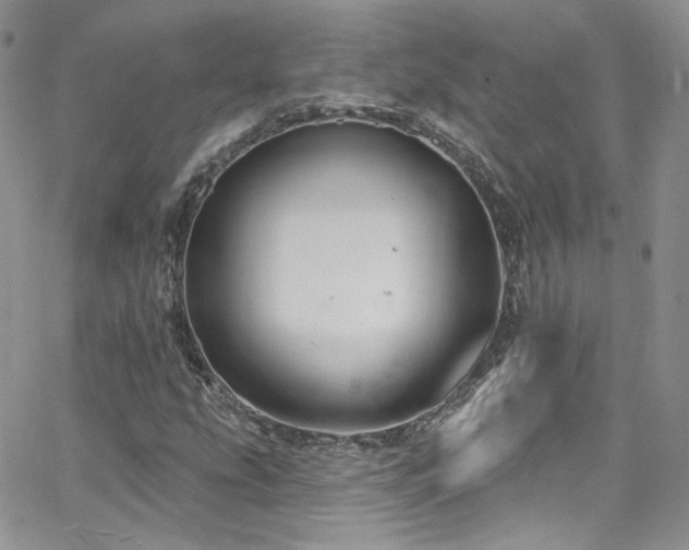 X0000062141207200512091206