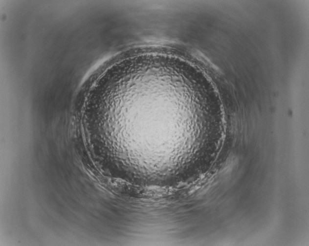 X0000062141208200512091206