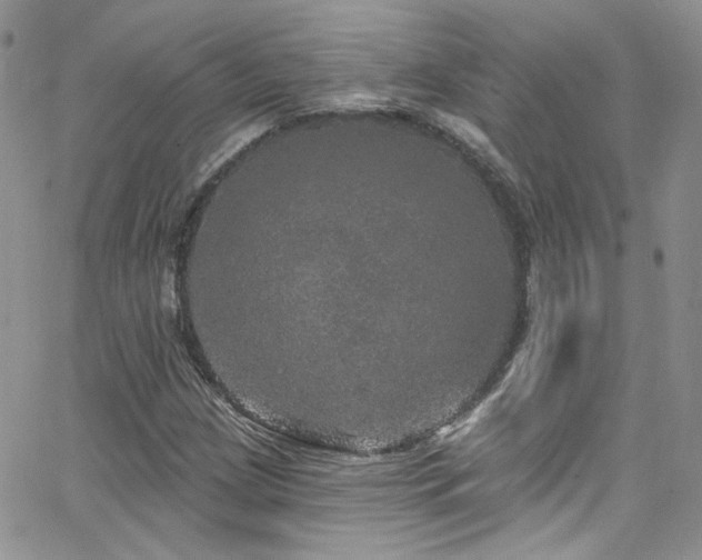 X0000062141209200512091206