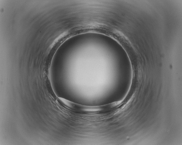 X0000062141210200512091206