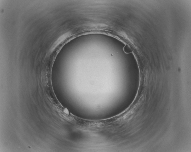 X0000062141211200512091206