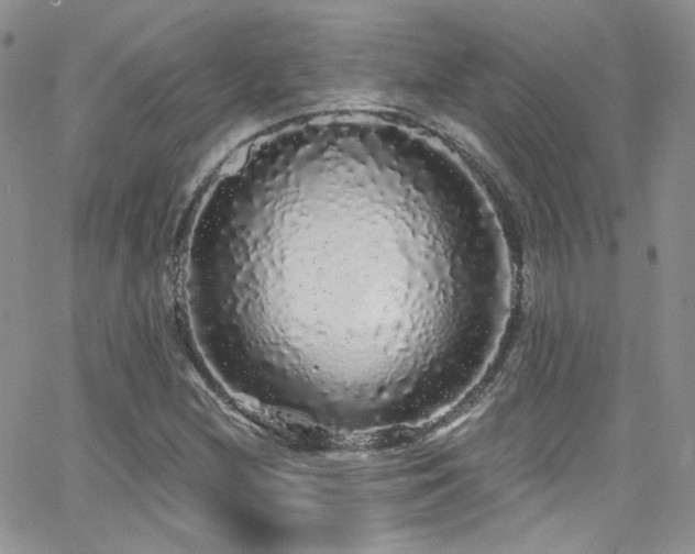 X0000062141212200512091206