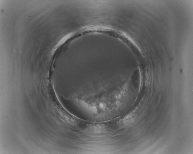 X0000062141213200512091206