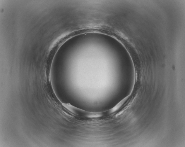 X0000062141214200512091206