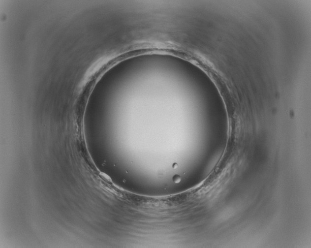 X0000062141215200512091206