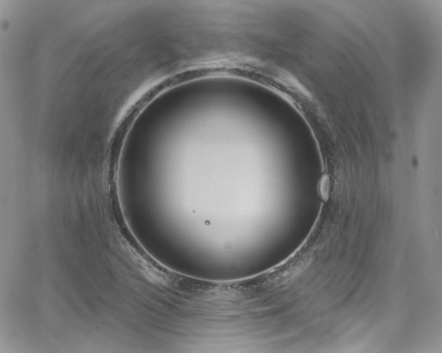 X0000062141216200512091206