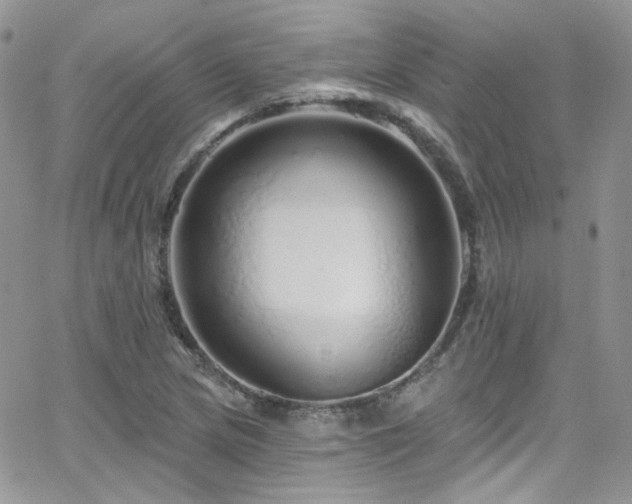 X0000062141217200512091206