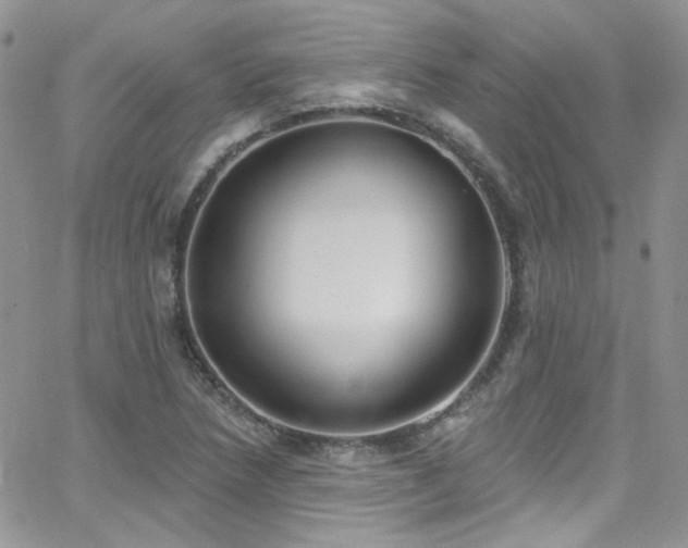 X0000062141218200512091206