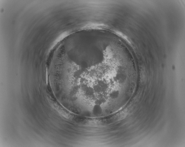 X0000062141219200512091206