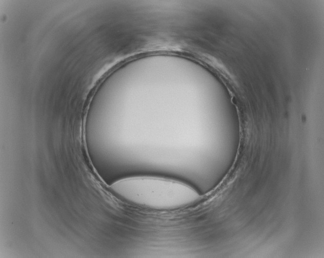 X0000062141220200512091206