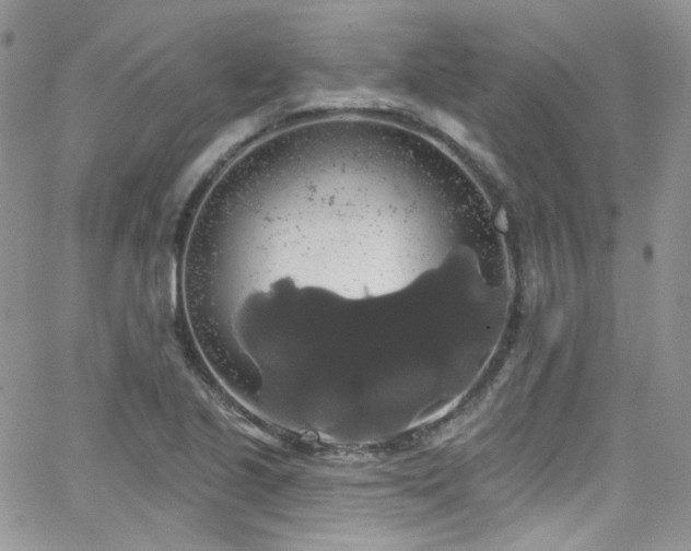 X0000062141221200512091207