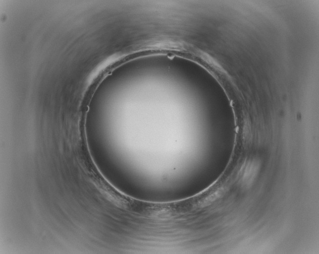 X0000062141222200512091207