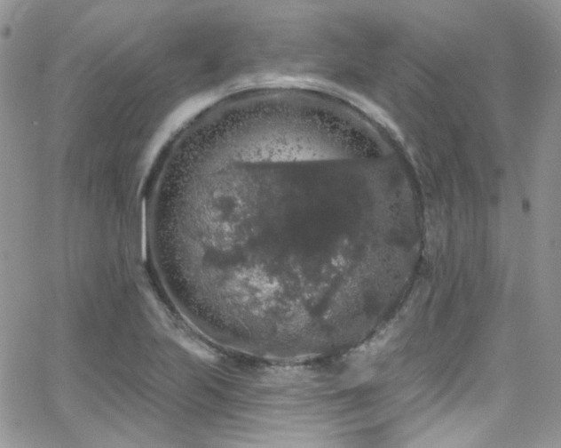 X0000062141223200512091207