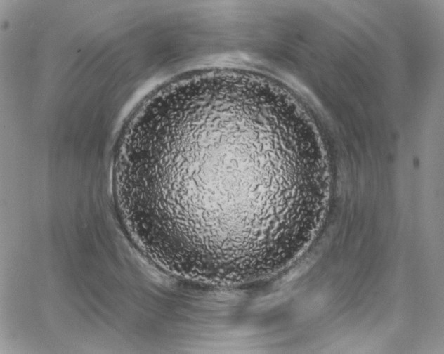 X0000062141224200512091207