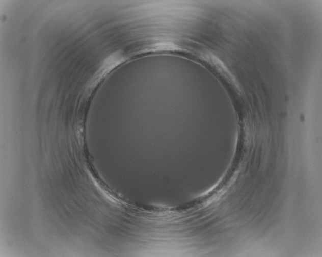 X0000062141225200512091207