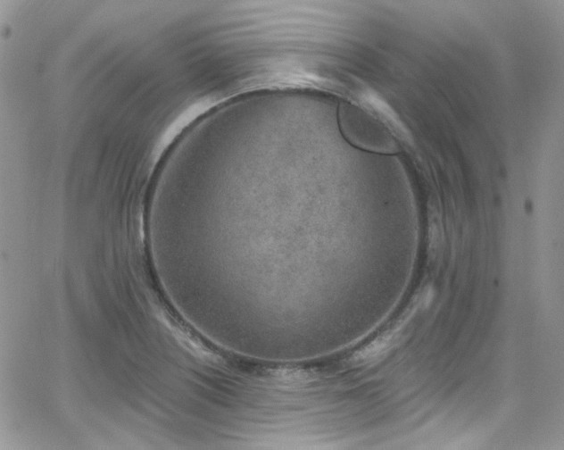 X0000062141226200512091207