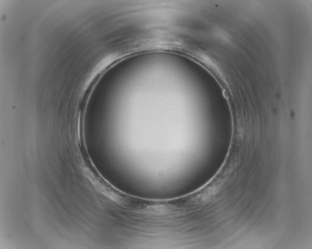 X0000062141227200512091207