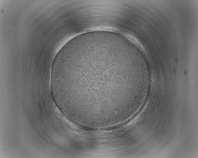 X0000062141228200512091207