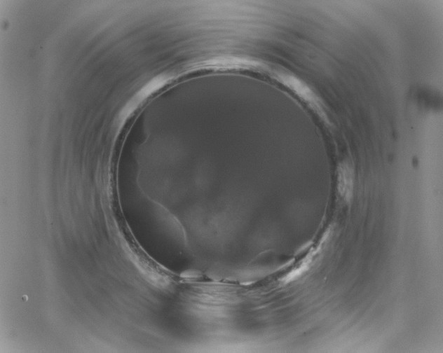 X0000062141229200512091207