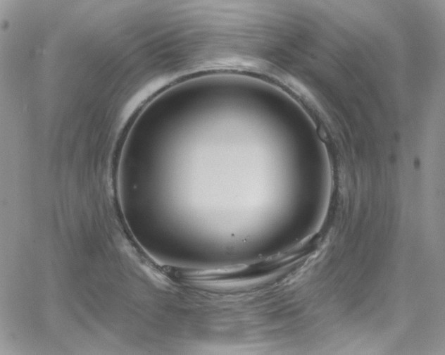 X0000062141230200512091207