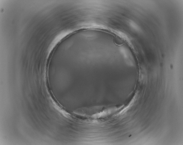 X0000062141231200512091207