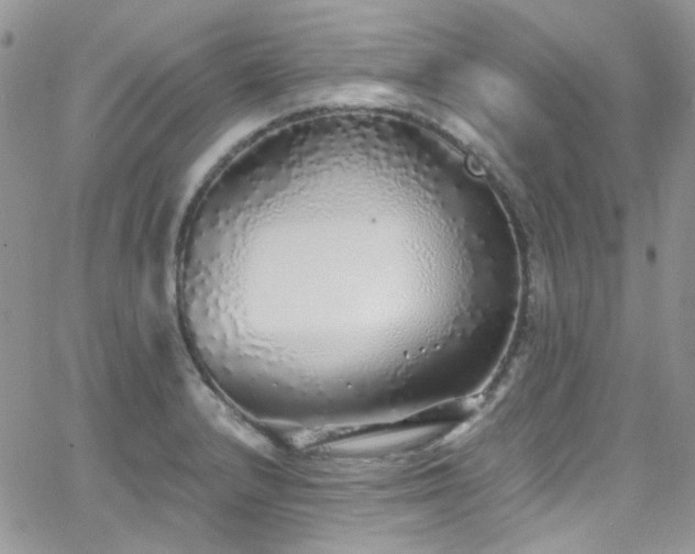 X0000062141232200512091207